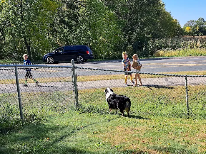 Watertown Dog Park 3