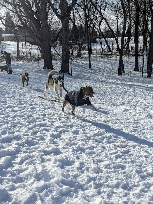 Watertown Dog Park 2
