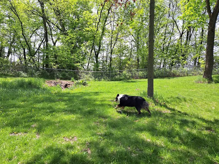 Watertown Dog Park 6