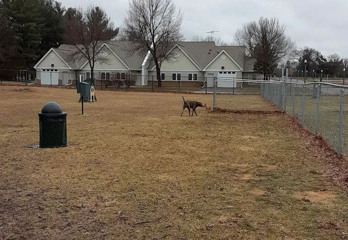 Cambridge Dog Park 8