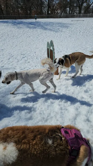 Cambridge Dog Park 3