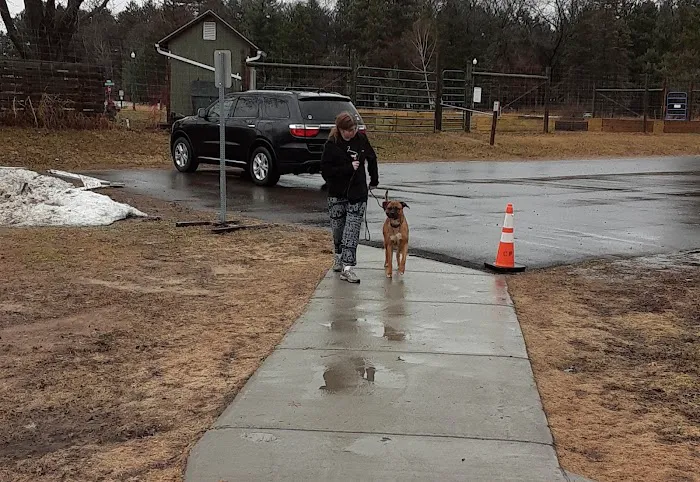 Cambridge Dog Park 9