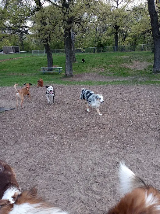 Cambridge Dog Park 2