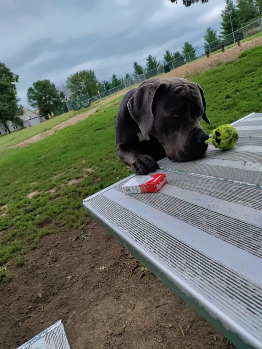 Cambridge Dog Park 4