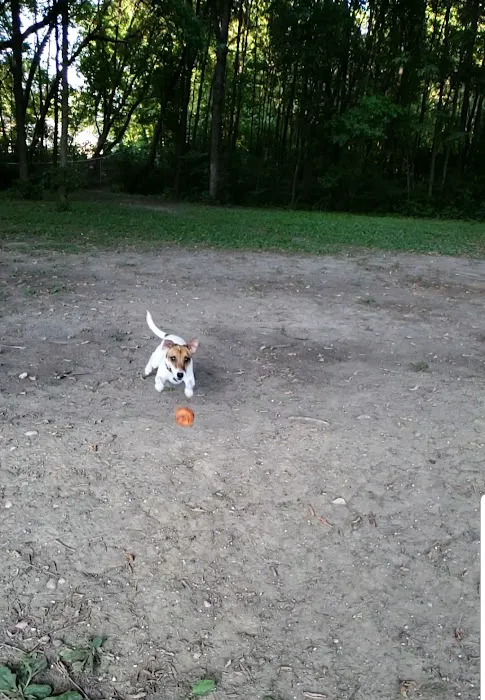 Chisago City Dog Park 4