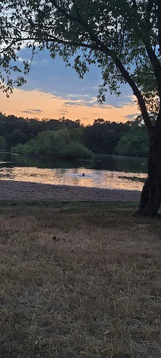 Checkerboard Dog Park 10