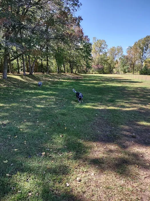 Checkerboard Dog Park 9