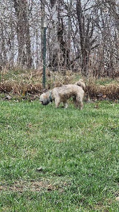 New Richmond Area Off Leash Dog Park 4