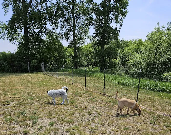 New Richmond Area Off Leash Dog Park 6