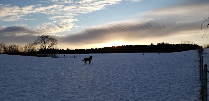 New Richmond Area Off Leash Dog Park 5