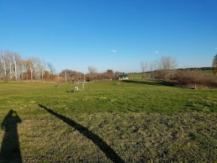 New Richmond Area Off Leash Dog Park 7
