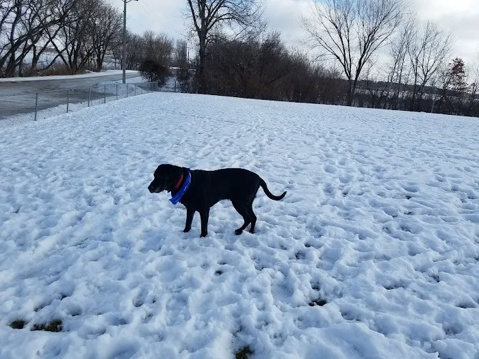 New Richmond Area Off Leash Dog Park 10