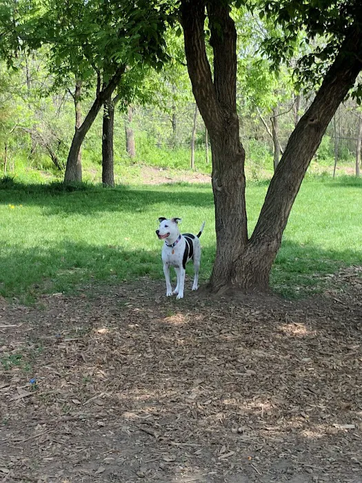Rivertown Dog Park 3