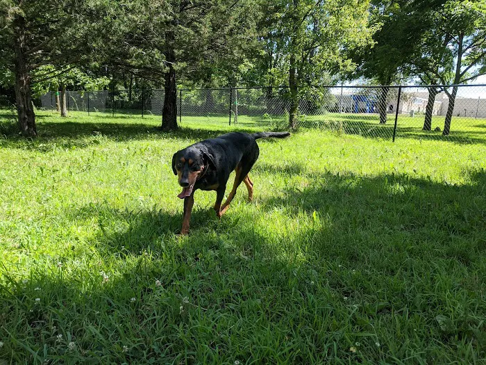 Rivertown Dog Park 9