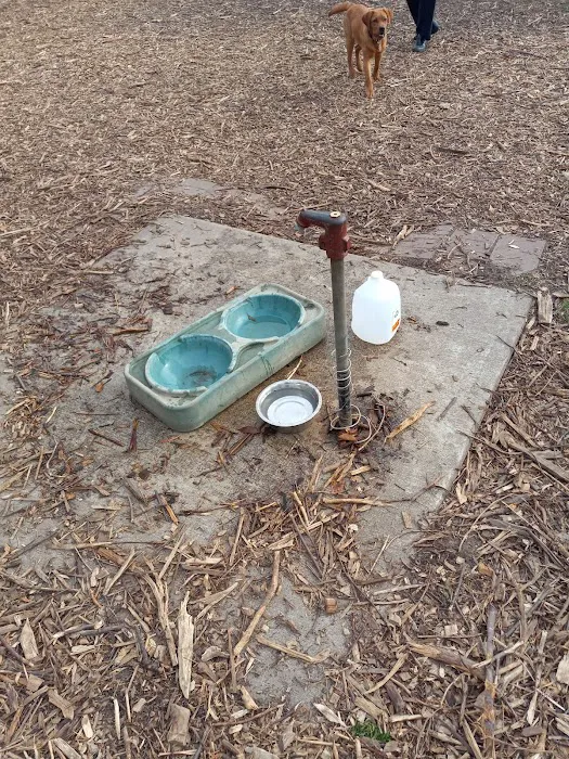 Rivertown Dog Park 4
