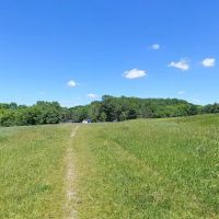River Falls Dog Park ico