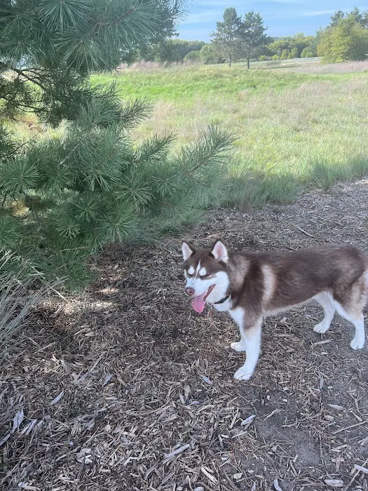 River Falls Dog Park 6