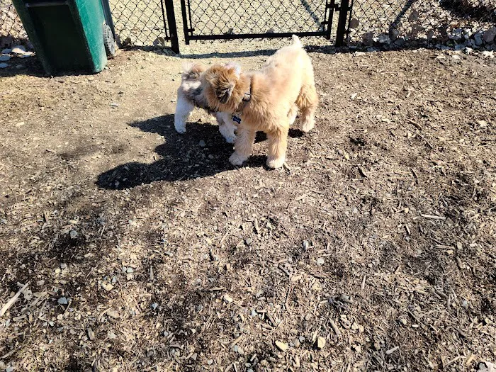River Falls Dog Park 7