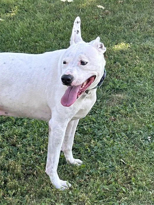 Le Sueur Dog Park 5