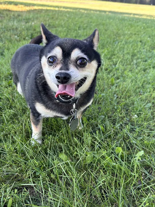 Le Sueur Dog Park 8
