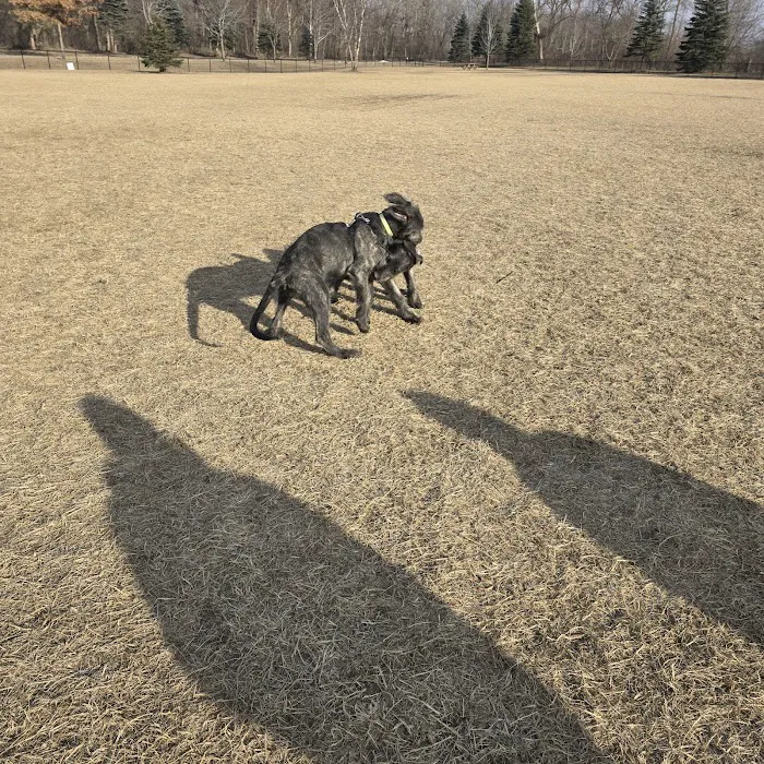 Dundas Dog Park 7