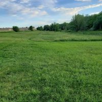Dundas Dog Park ico
