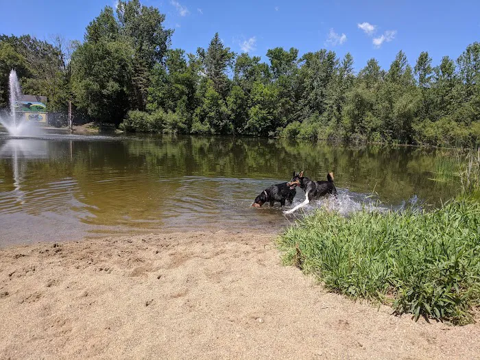 White Sands Dog Park 1