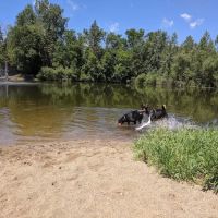 White Sands Dog Park ico