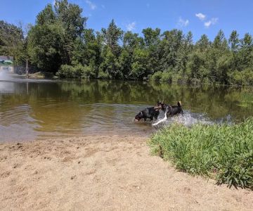 White Sands Dog Park