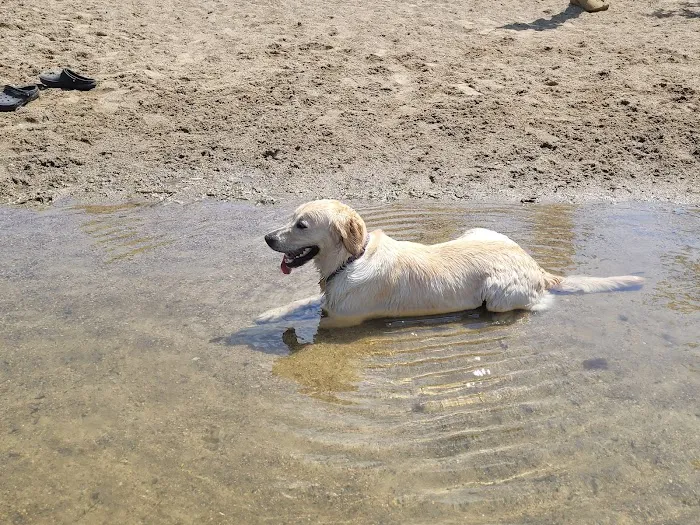 White Sands Dog Park 2