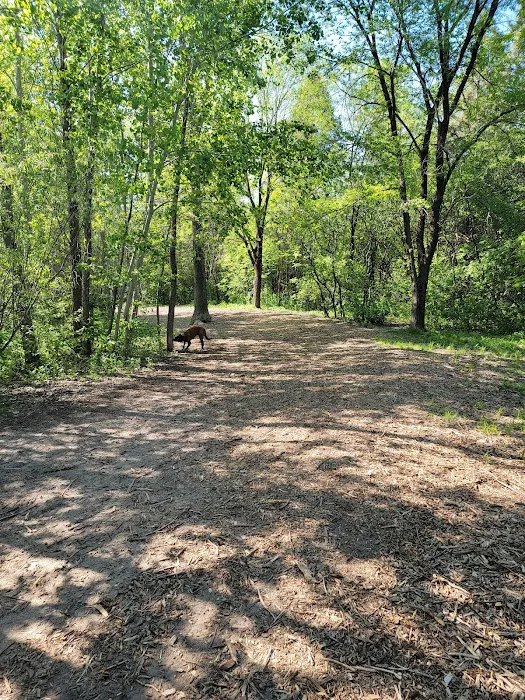 White Sands Dog Park 9