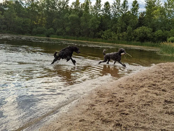 White Sands Dog Park 7