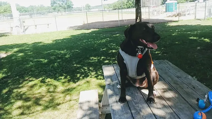 Cannon Falls Dog Park 1