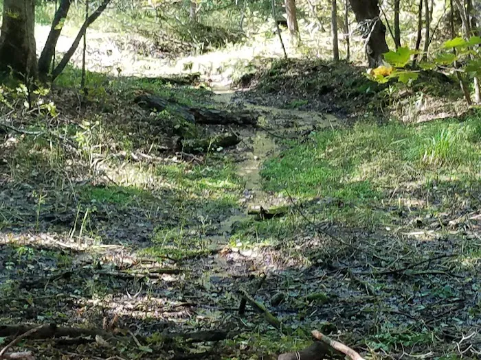 St. Croix Falls Dog Park 3