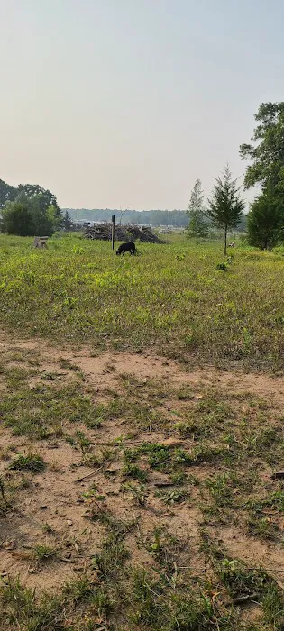 St. Croix Falls Dog Park 1