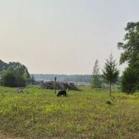 St. Croix Falls Dog Park ico