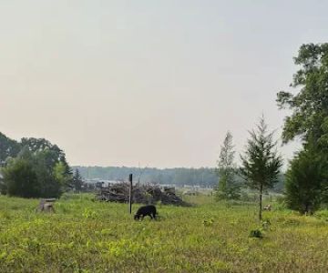 St. Croix Falls Dog Park