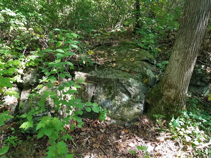 St. Croix Falls Dog Park 4
