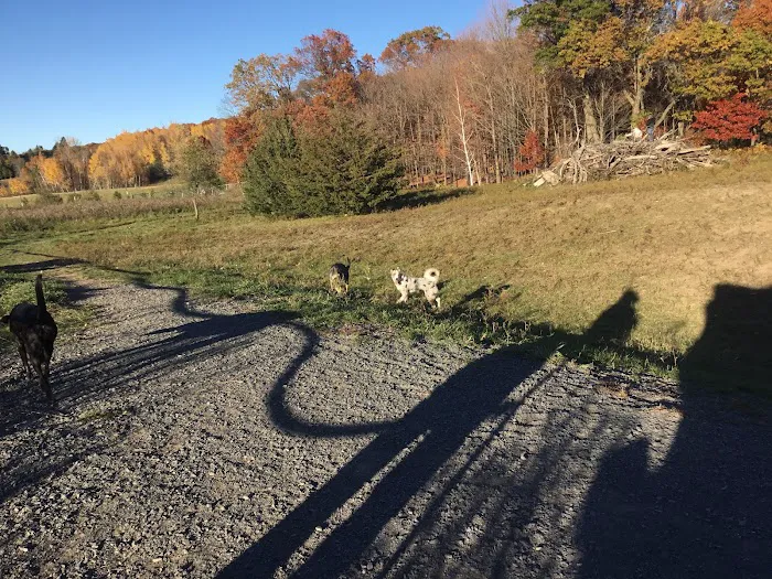 St. Croix Falls Dog Park 6