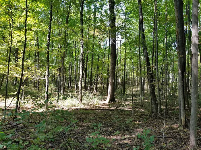 St. Croix Falls Dog Park 9