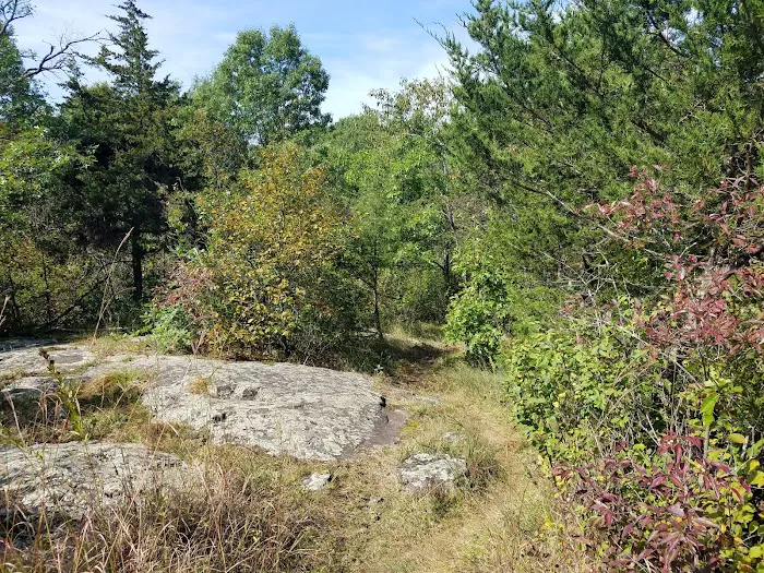 St. Croix Falls Dog Park 7