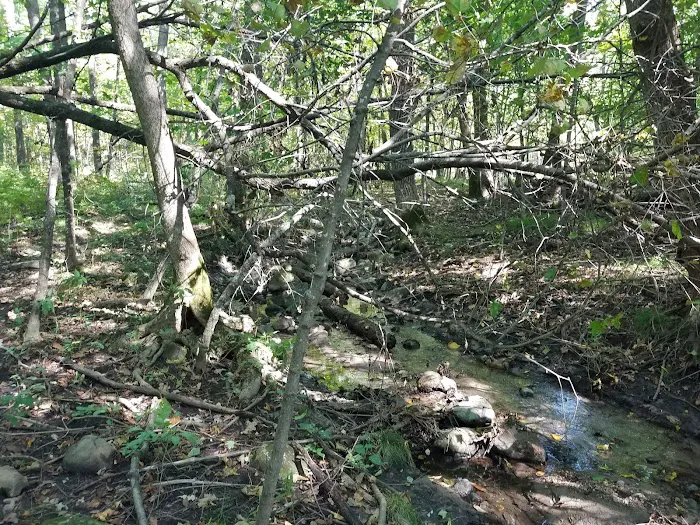 St. Croix Falls Dog Park 8