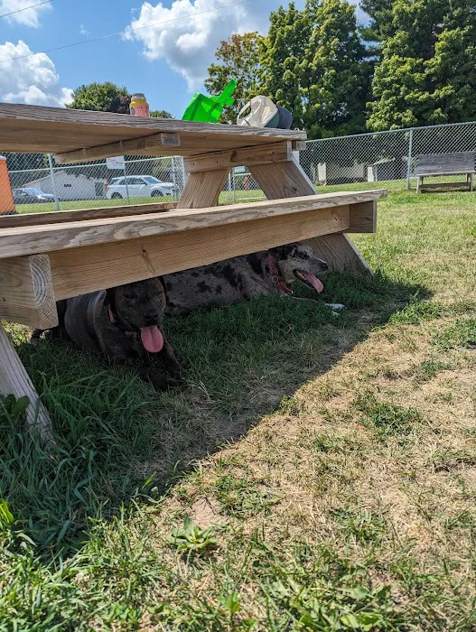 Amery Dog Park 1