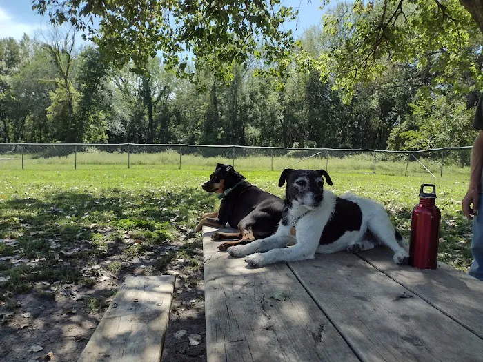 Saint Peter Dog Park 6