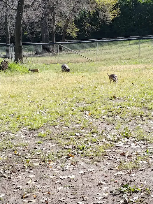 Saint Peter Dog Park 5