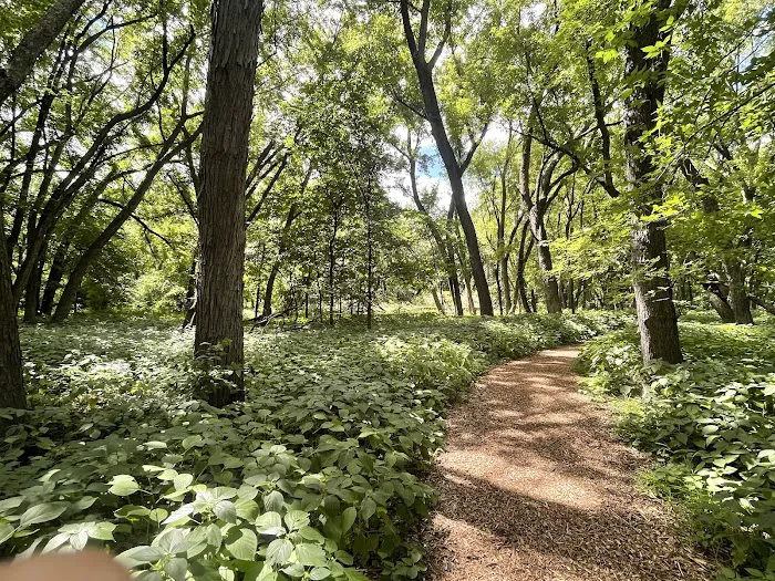 Kiwanis Recreation Area 4