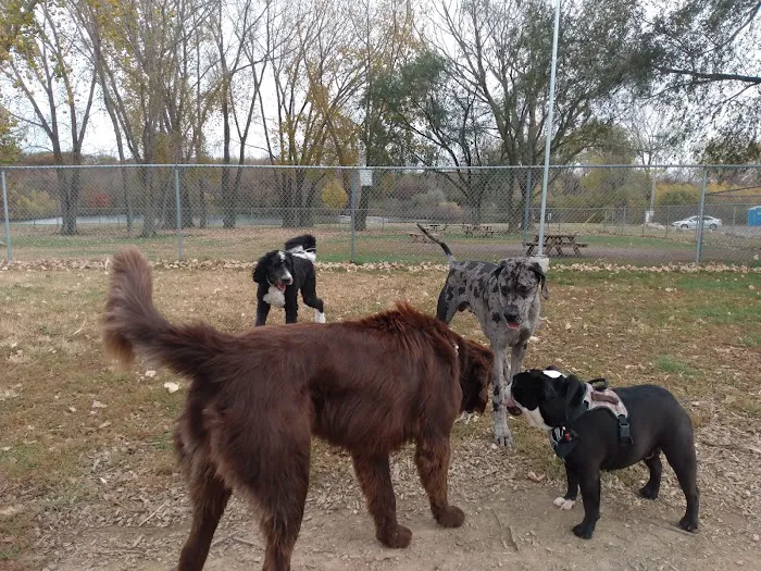 Lake Chase Dog Park 5