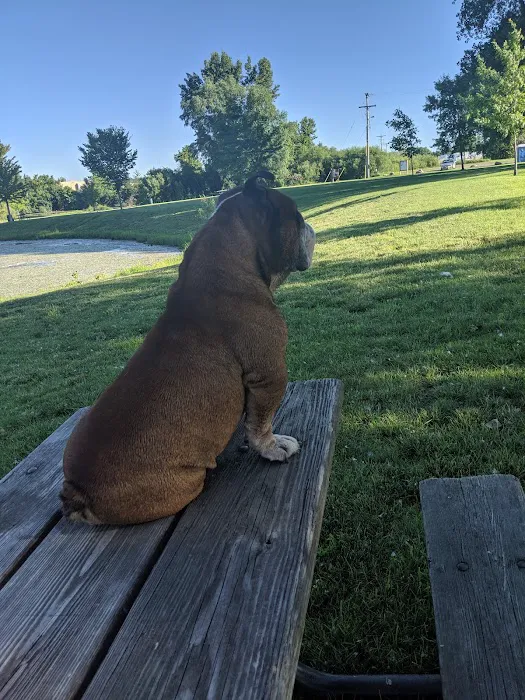 Lake Chase Dog Park 1