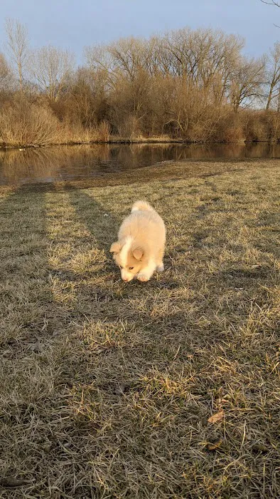 Lake Chase Dog Park 7