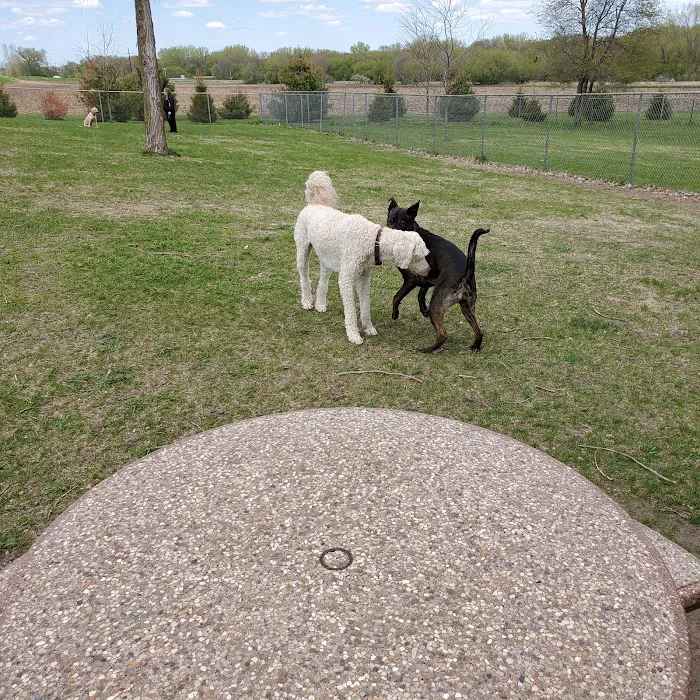 Lake Chase Dog Park 4